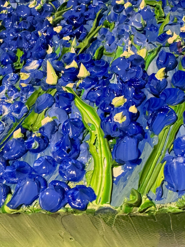 Blooms Series Texas Wildflowers Bluebonnets