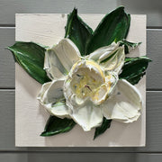 Blooms Series Magnolia Blossom I